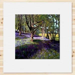 Bluebell Woods, Small Mounted Print by Margaret Evans
