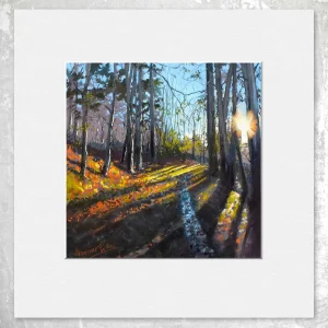 Woodland Walk, Dunira, Small Mounted Print by Margaret Evans