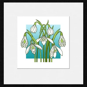 Snowdrops, Small Mounted Print by Marjory Tait