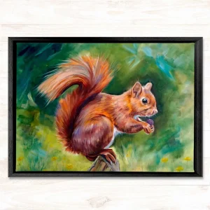 Squirrel, Framed Stretched Canvas by Scott McGregor