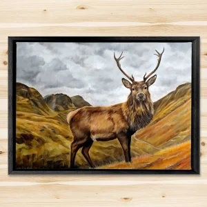 Glencoe Stag, Framed Stretched Canvas by Scott McGregor