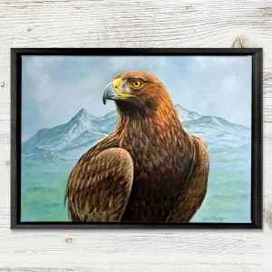 Golden Eagle in The Cuillins, Isle of Skye, Framed Stretched Canvas by Scott McGregor
