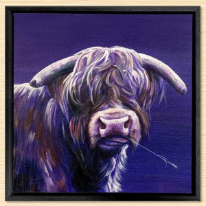 Angus, Framed Stretched Canvas by Scott McGregor