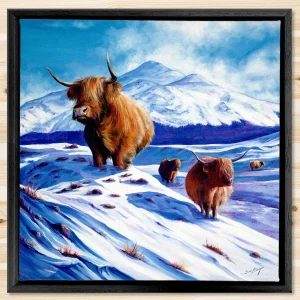 Coos in the Snow, Framed Stretched Canvas by Scott McGregor