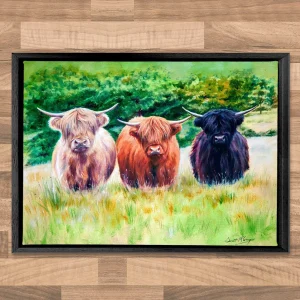Highland Toffee, Framed Stretched Canvas by Scott McGregor